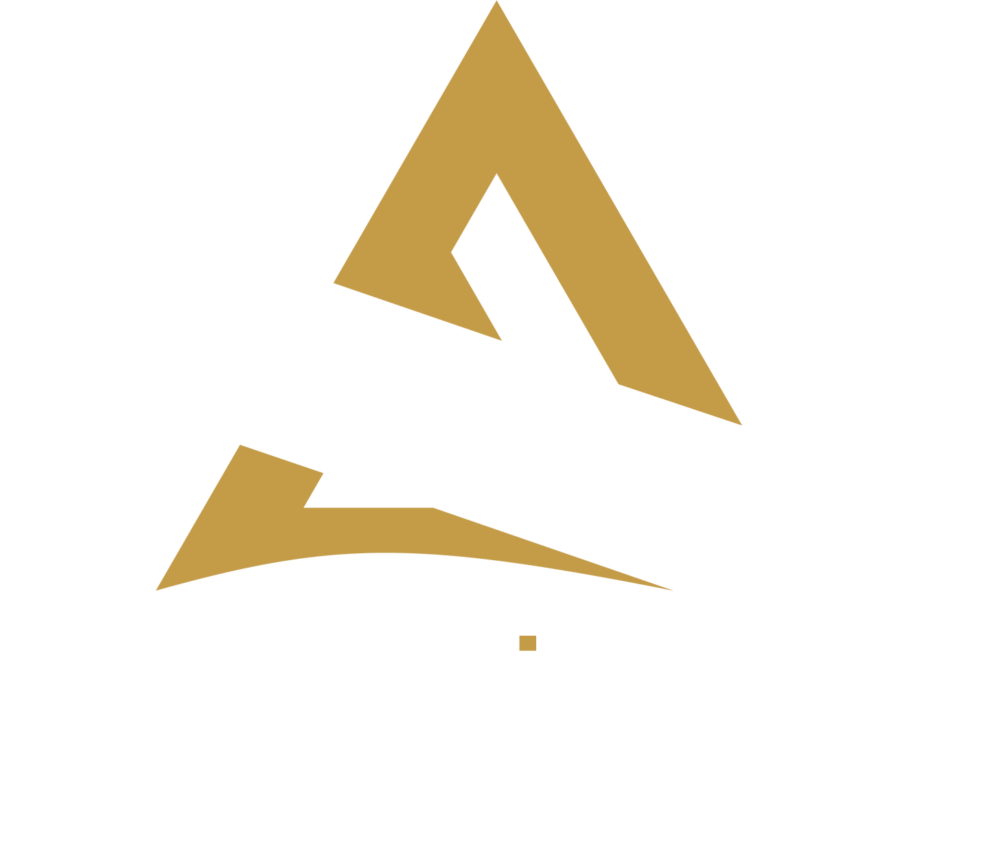 Product Brand Image